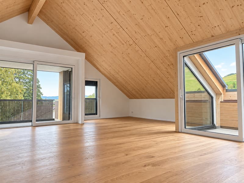 neue und moderne 3.5-Zimmer-Dachgeschosswohnung mit Aussicht ins Grüne (6)