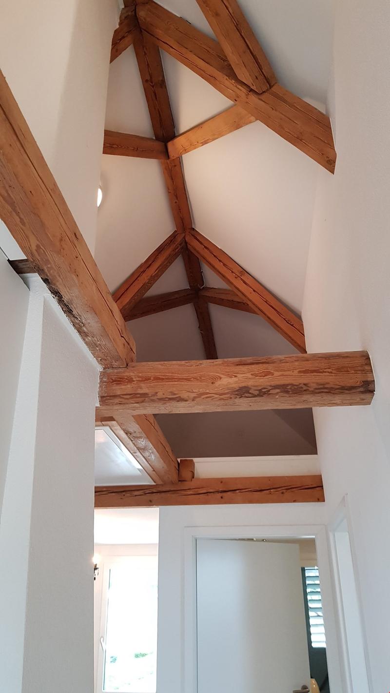 wunderschöne 2.5-Zi-Dachwohnung in kleinem 3-Familienhaus zu vermieten (5)