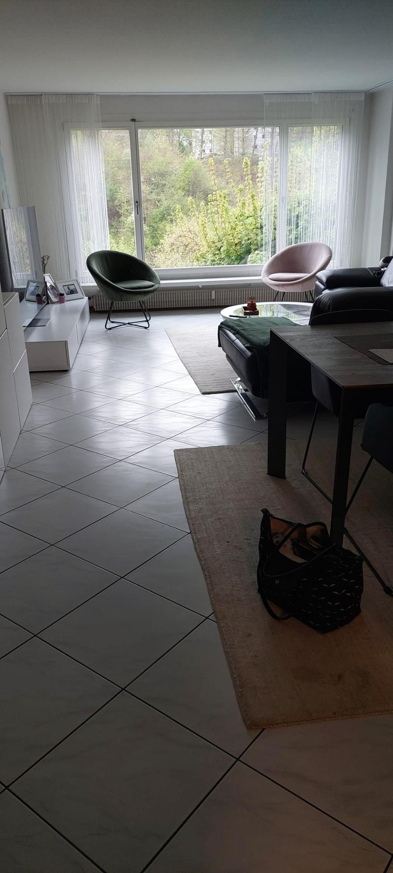 schöne und helle 4.5-Zimmerwohnung mit Aussicht auf die Aare (6)