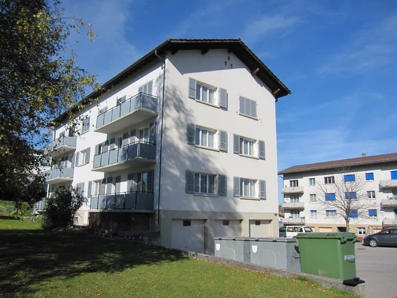 schöne 4.5-Zimmerwohnung mit grossem und sonnigem Balkon (1)