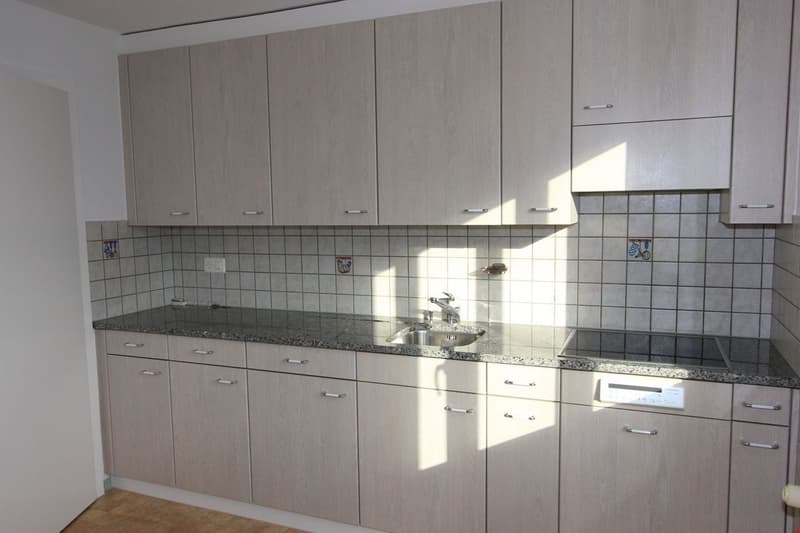 schöne 4.5-Zimmerwohnung mit grossem und sonnigem Balkon (2)
