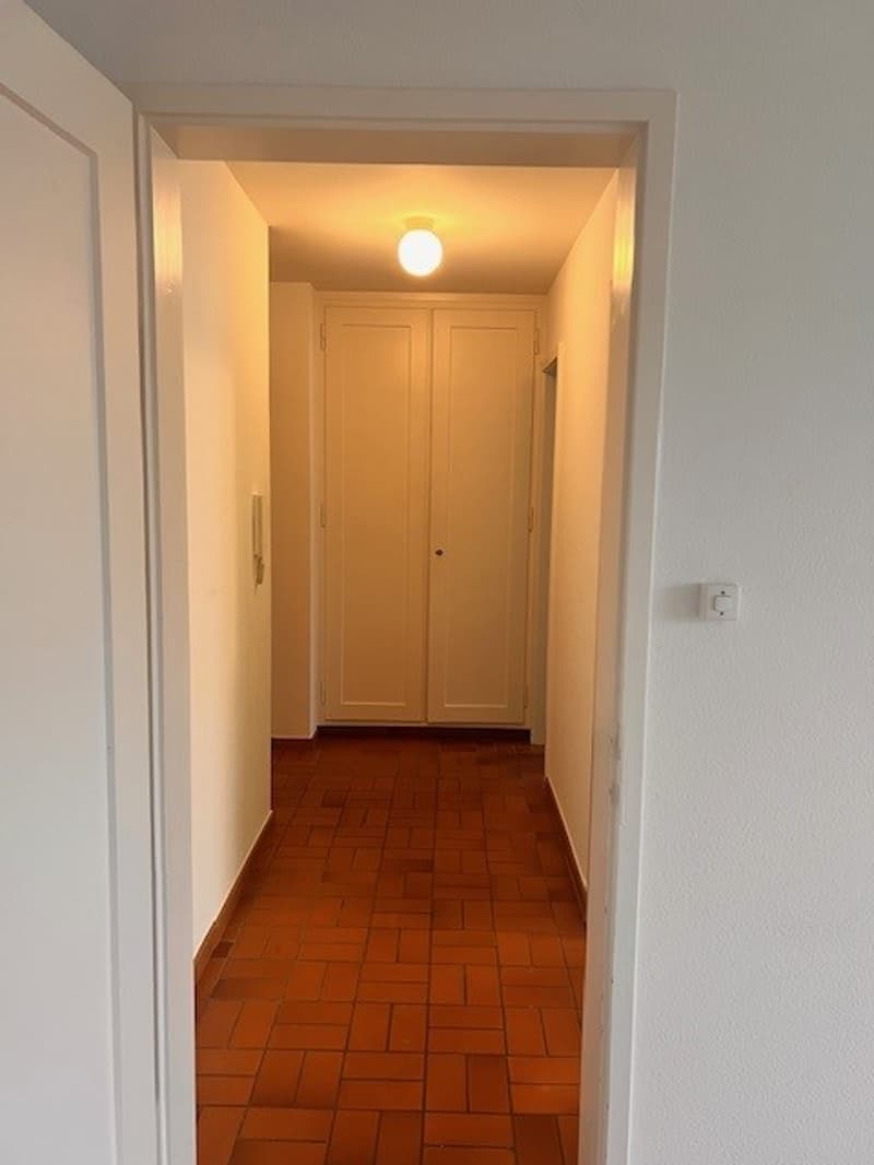 Gemütliches 1-Zimmer-Studio mit Balkon in Grenchen (4)