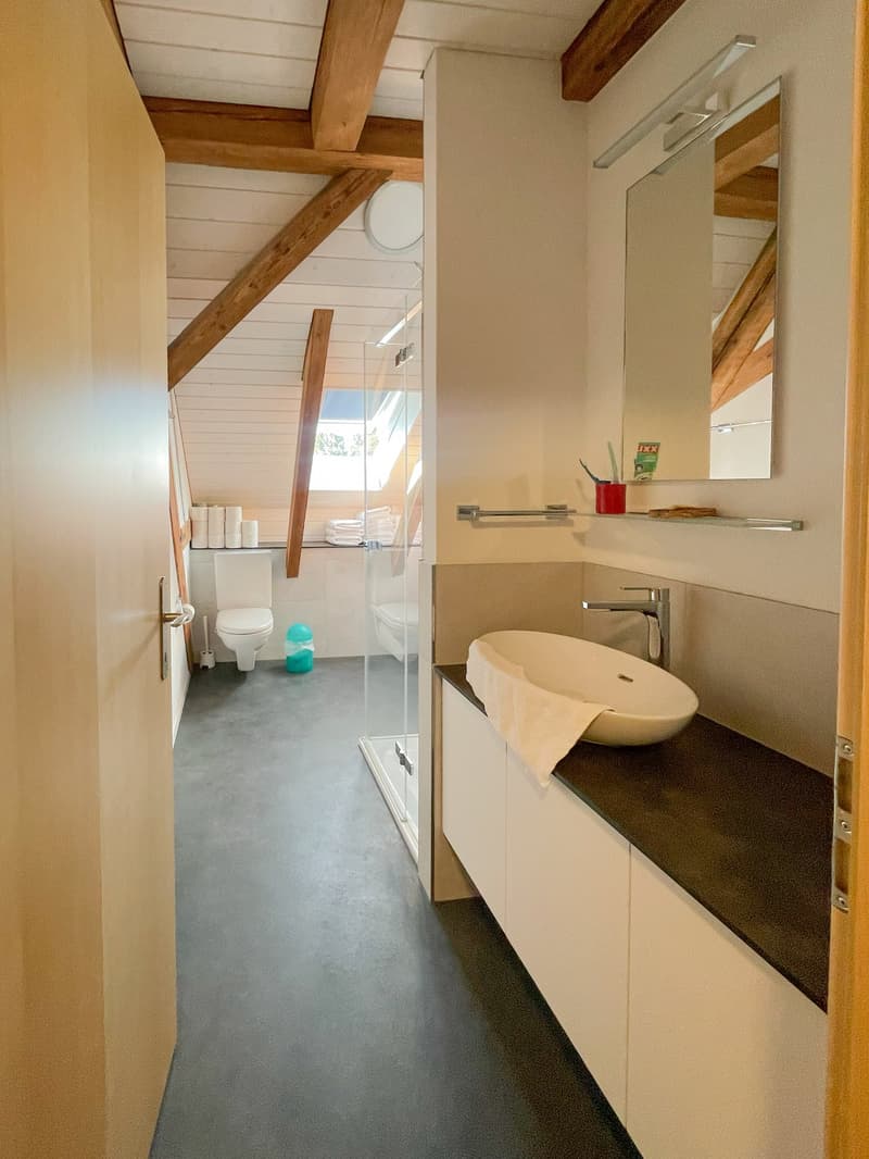 Grosszügiges 8.5-Zimmer Wohn- und Geschäftshaus mit Baulandreserve an zentraler Lage (7)