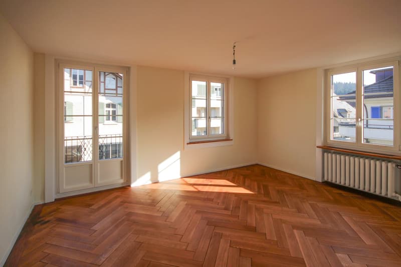 Grosszügiges 8.5-Zimmer Wohn- und Geschäftshaus mit Baulandreserve an zentraler Lage (10)