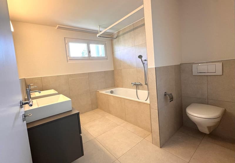 Neu saniertes 6.5-Zimmer-Einfamilienhaus mit Studiowohnung (12)