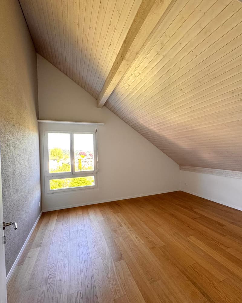 Neu saniertes 6.5-Zimmer-Einfamilienhaus mit Studiowohnung (8)