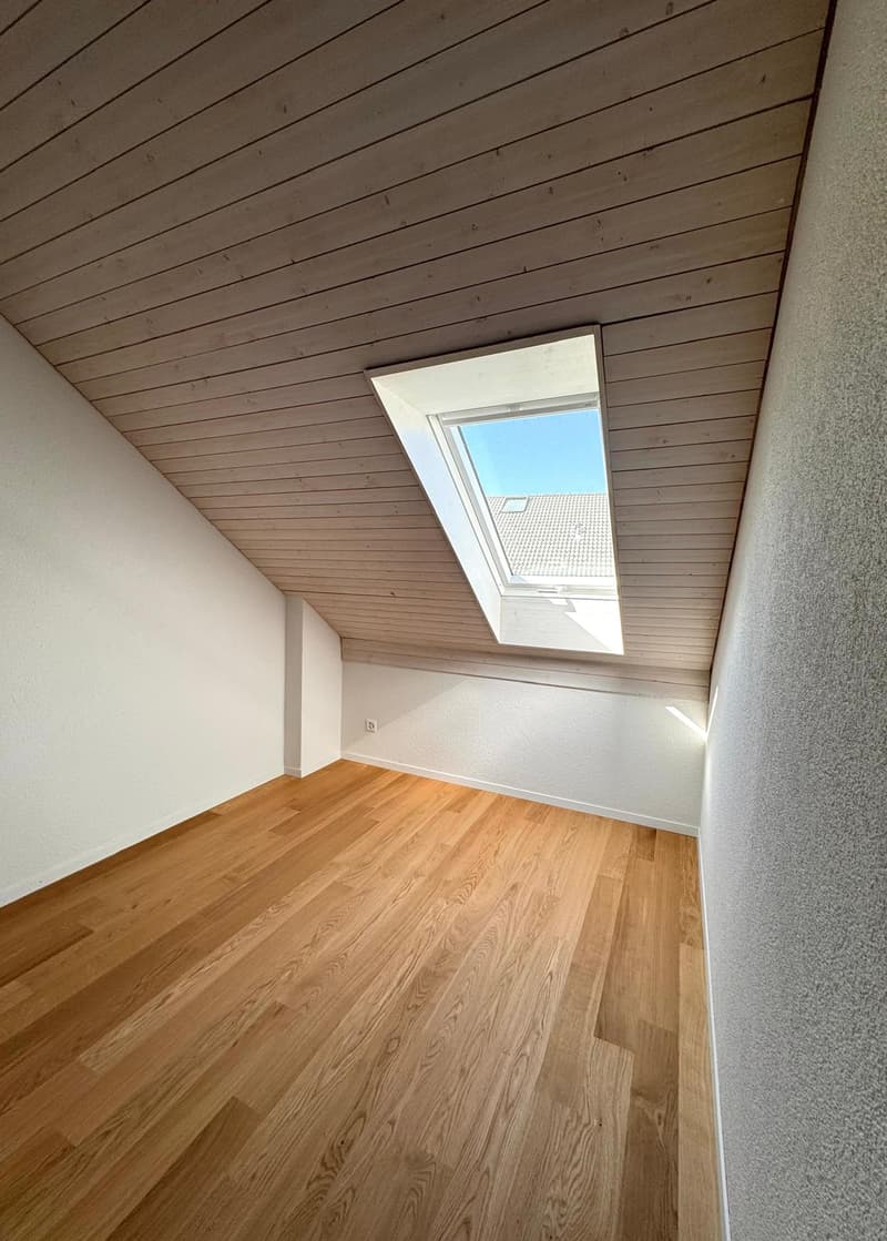 Neu saniertes 6.5-Zimmer-Einfamilienhaus mit Studiowohnung (10)
