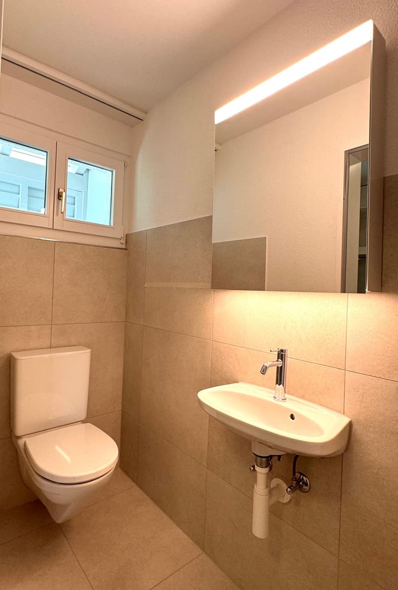 Neu saniertes 6.5-Zimmer-Einfamilienhaus mit Studiowohnung (13)