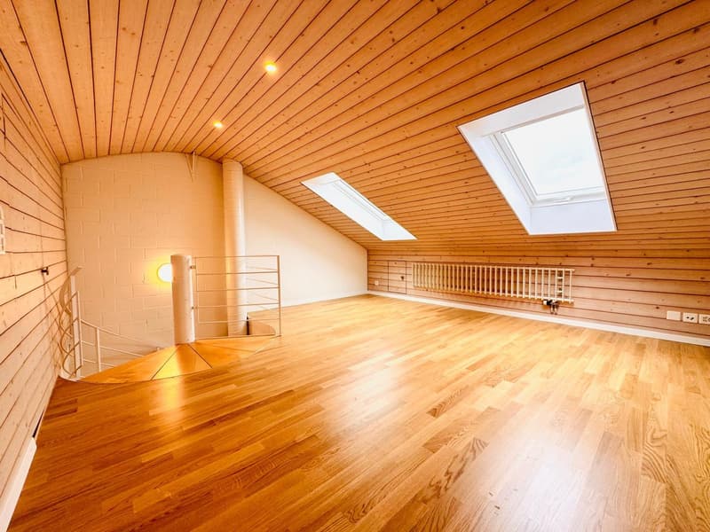 Neu sanierte 5.5-Zimmer Maisonette-Wohnung an ruhiger Lage (1)