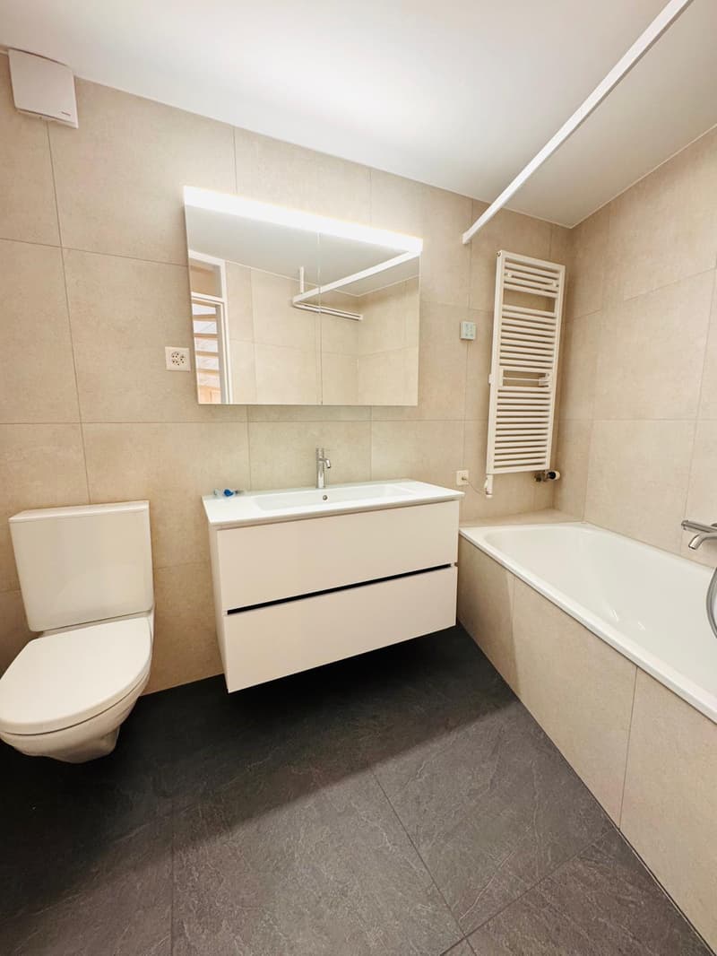Neu sanierte 5.5-Zimmer Maisonette-Wohnung an ruhiger Lage (8)