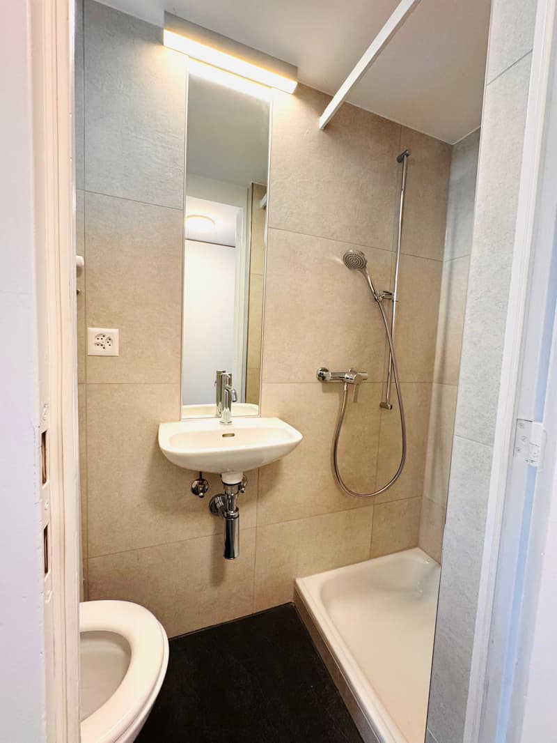 Neu sanierte 5.5-Zimmer Maisonette-Wohnung an ruhiger Lage (9)