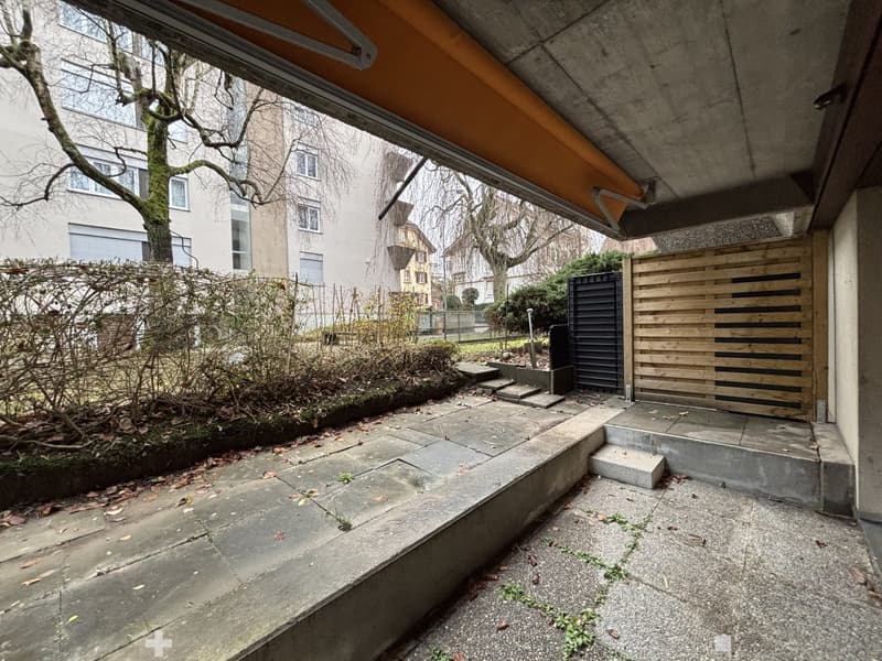 outdoor area, paved floor, wooden fence, metal gate, shrubs, tree, buildings in the background