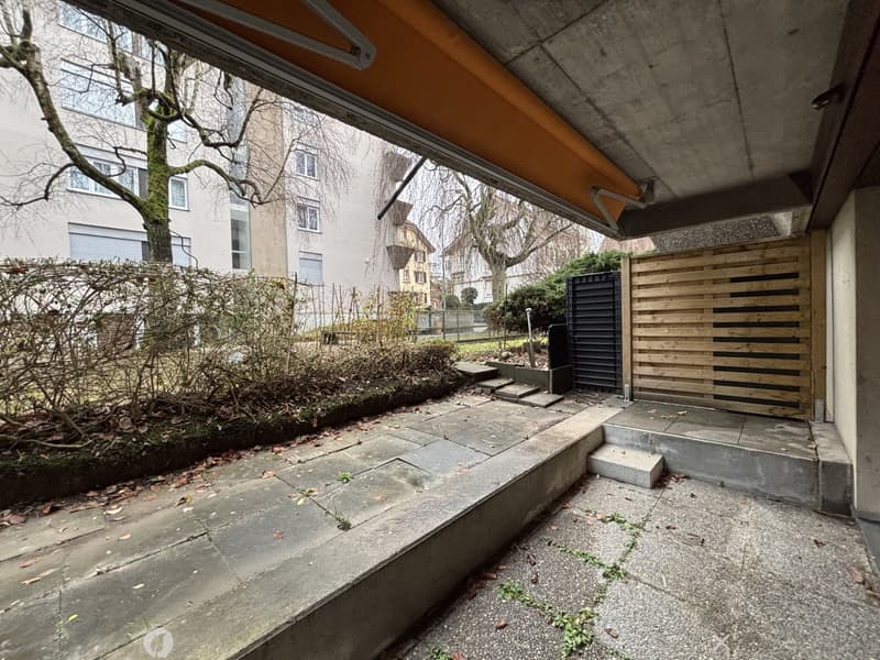outdoor area, paved floor, wooden fence, metal gate, shrubs, tree, buildings in the background