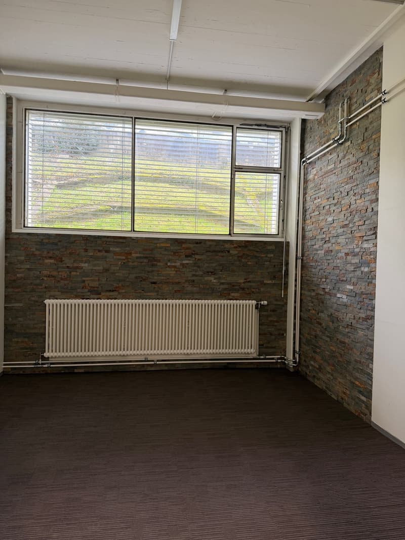 Empty room, three windows, radiator, brick walls, wooden flooring