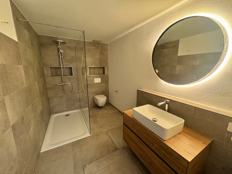 a modern bathroom with a walk-in shower, white sink, wooden cabinet, a toilet, and a large mirror