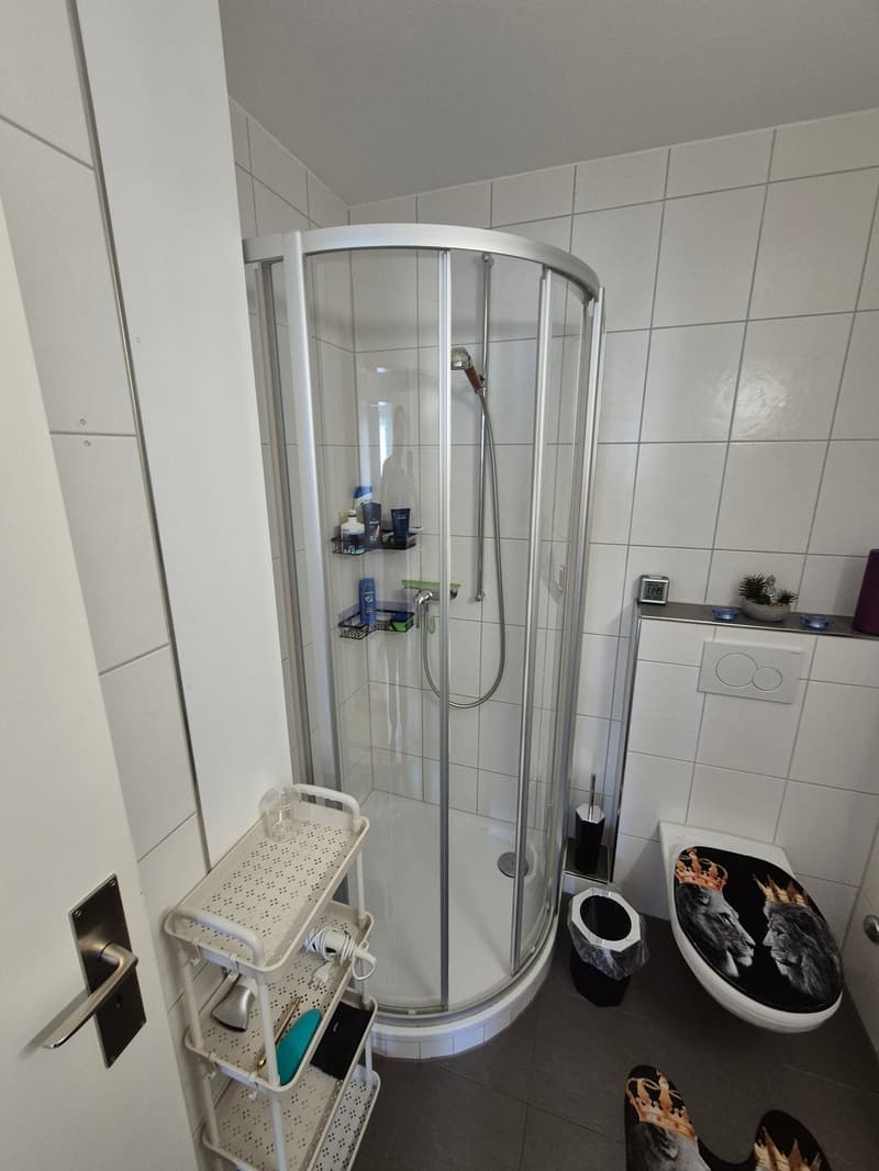 Charmante 4-Zimmer-Wohnung mit Balkon in Grenchen (2)
