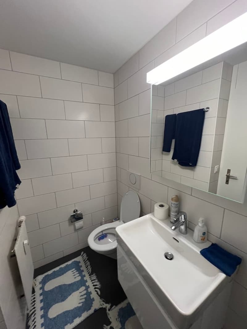 Bathroom with white tiles, white sink, white toilet, mirror, blue towels, blue rug, white radiator