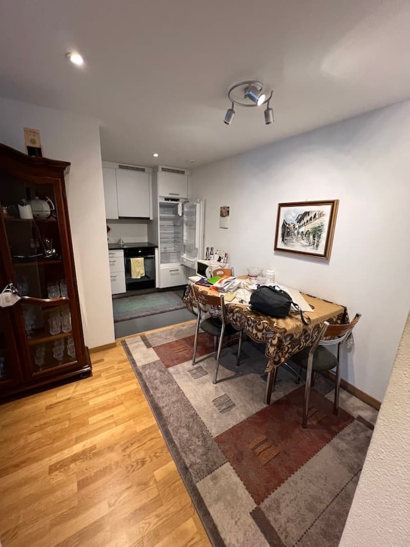 Dining area with a table and chairs, a rug, a cabinet, a refrigerator, a microwave, a picture frame, and a ceiling lamp