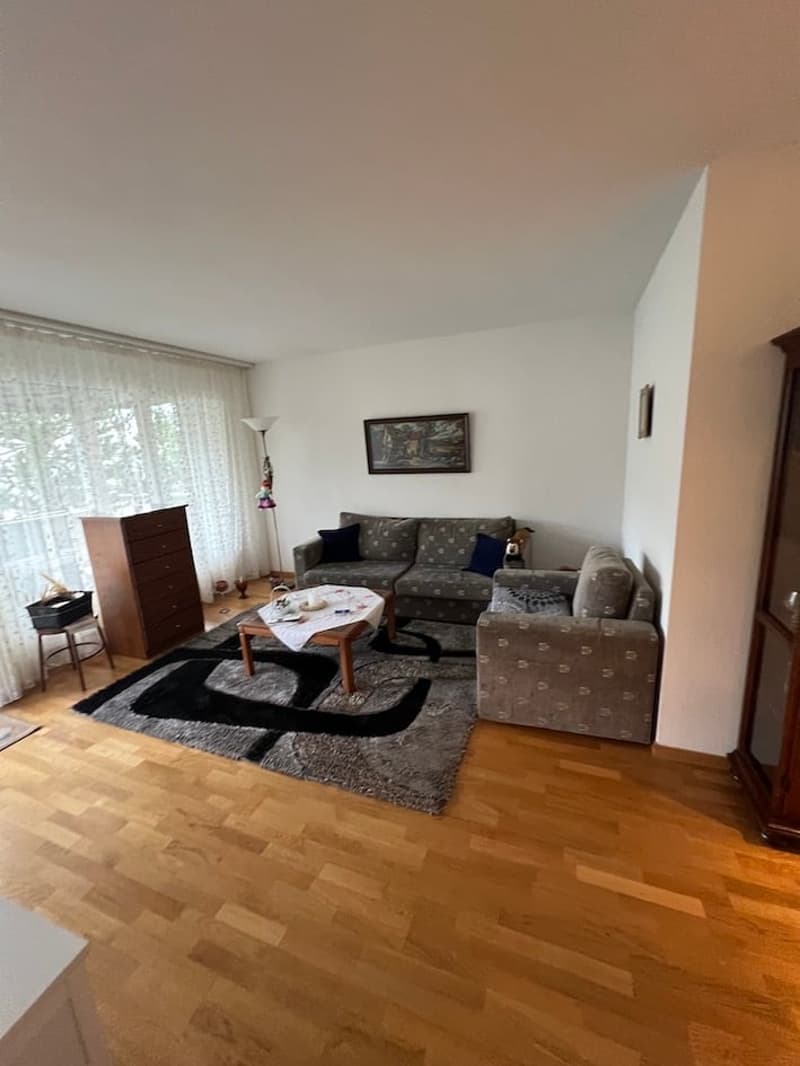 Living room with wooden floor, two sofas, coffee table, rug, wooden cabinet, lamp, picture frame, and white curtains