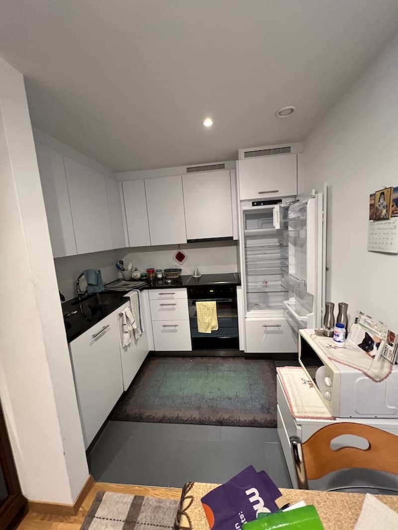 modern kitchen with white cabinets, black countertops, stainless steel appliances, open refrigerator, microwave, sink, and a rug