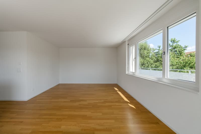 TOP MODERNE 3.5-Zimmer-Attikawohnung mit grosse Terrasse (8)