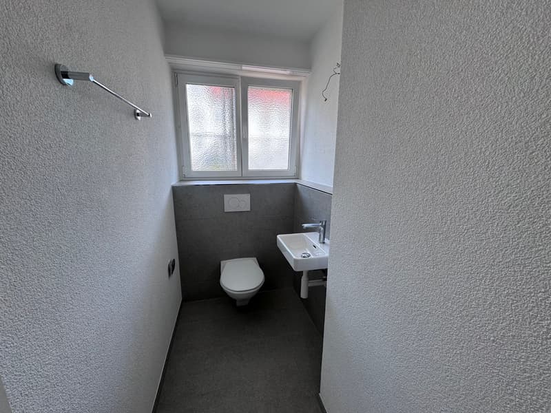 Sanierte 4.5-Zimmer-Wohnungen in Wangen bei Olten (8)