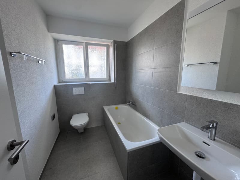 Sanierte 4.5-Zimmer-Wohnungen in Wangen bei Olten (7)