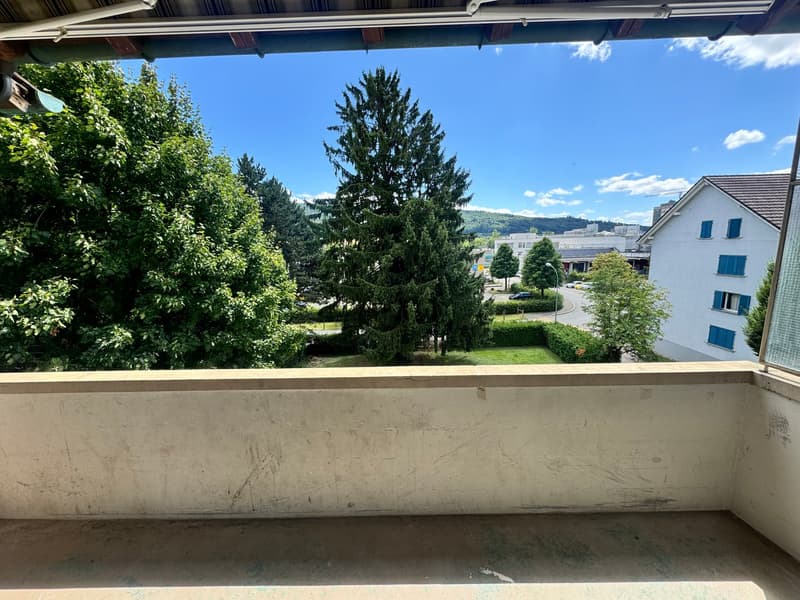 Sanierte 4.5-Zimmer-Wohnungen in Wangen bei Olten (9)
