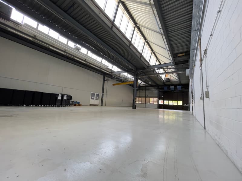 Geräumige Industriehalle zur Miete in Studen BE – 460 m² mit Parkplatzmöglichkeit (7)