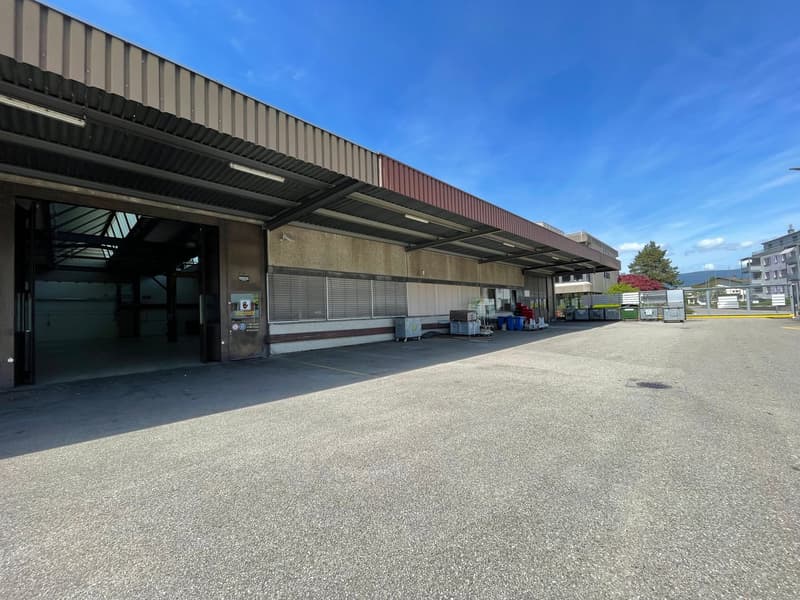 Geräumige Industriehalle zur Miete in Studen BE – 460 m² mit Parkplatzmöglichkeit (8)