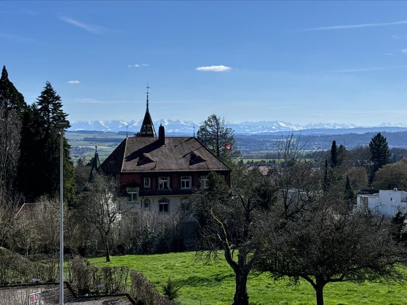Helle 3.5-Zimmerwohnung mit Aussicht auf die Alpen (8)