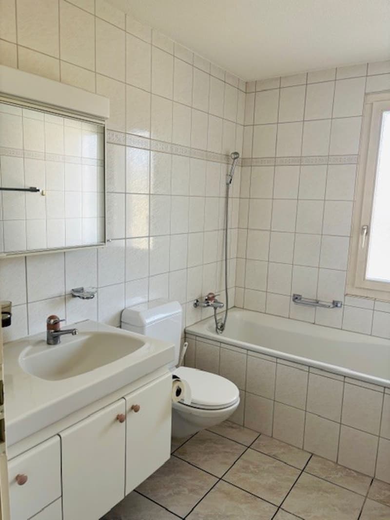 4.5-Zimmerwohnung in gepflegtem Mehrfamilienhaus (7)
