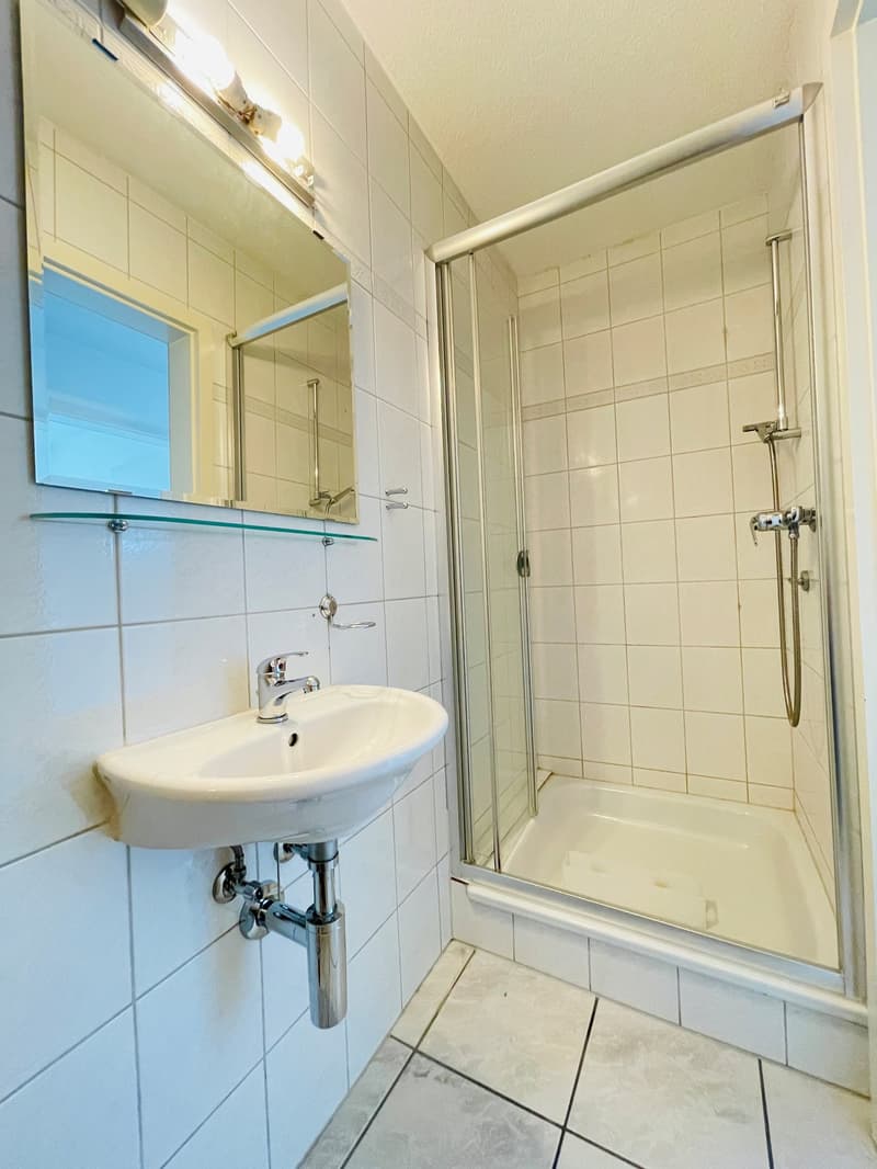 4.5-Zimmer-Wohnung mit Galerie (11)