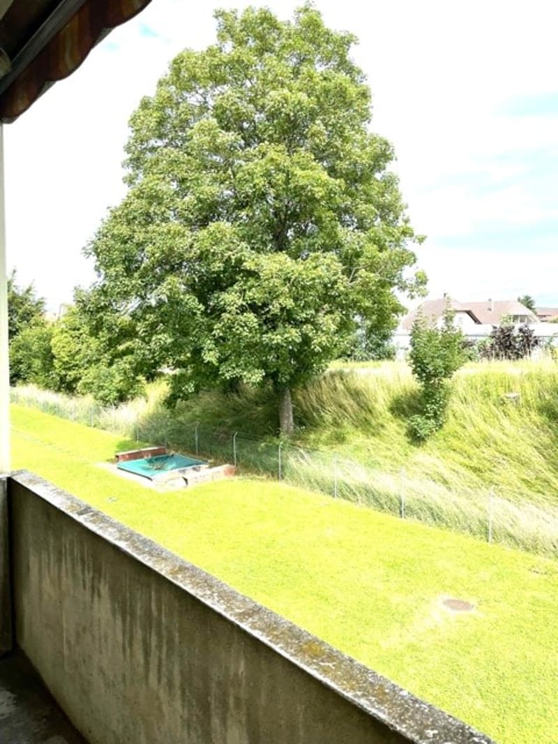 3-Zimmerwohnung in Aegerten (9)