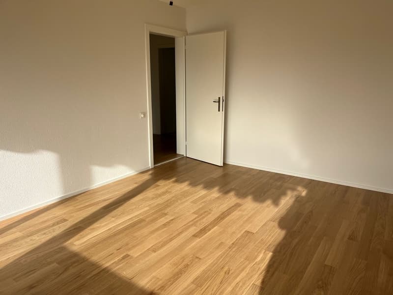Pieterlen: 3.5-Zimmer-Wohnung zu vermieten (5)