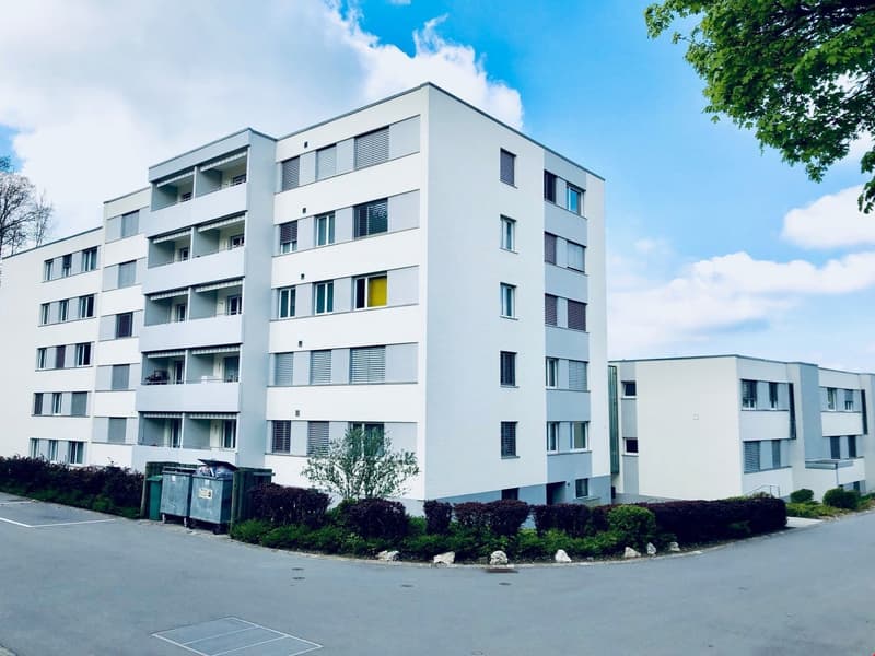 Attraktive Familien-Wohnung in ruhigem Quartier (1)