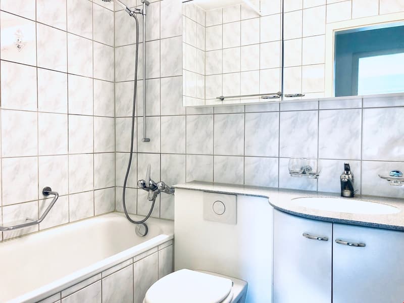 Attraktive Familien-Wohnung in ruhigem Quartier (6)