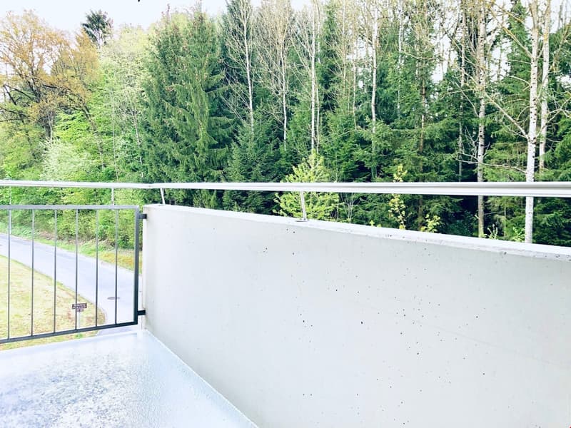 Attraktive Familien-Wohnung in ruhigem Quartier (7)