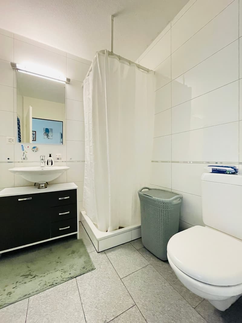 Busswil-Lyss, 4.5-Zimmerwohnung mit Gartensitzplatz (7)