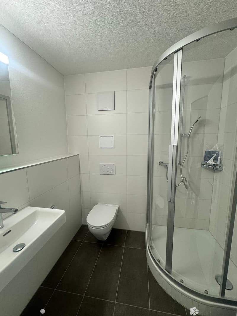 Renovierte 1-Zimmerwohnung mit toller Aussicht (3)