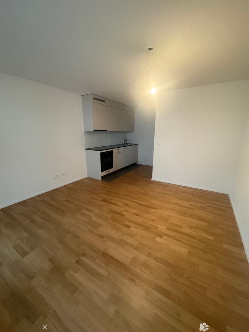 Renovierte 1-Zimmerwohnung mit toller Aussicht (2)