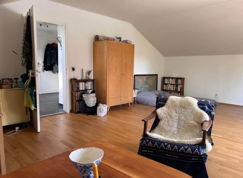 Helle 1.5-Zimmer-Dachwohnung im beliebten und ruhigen Lindequartier (10)