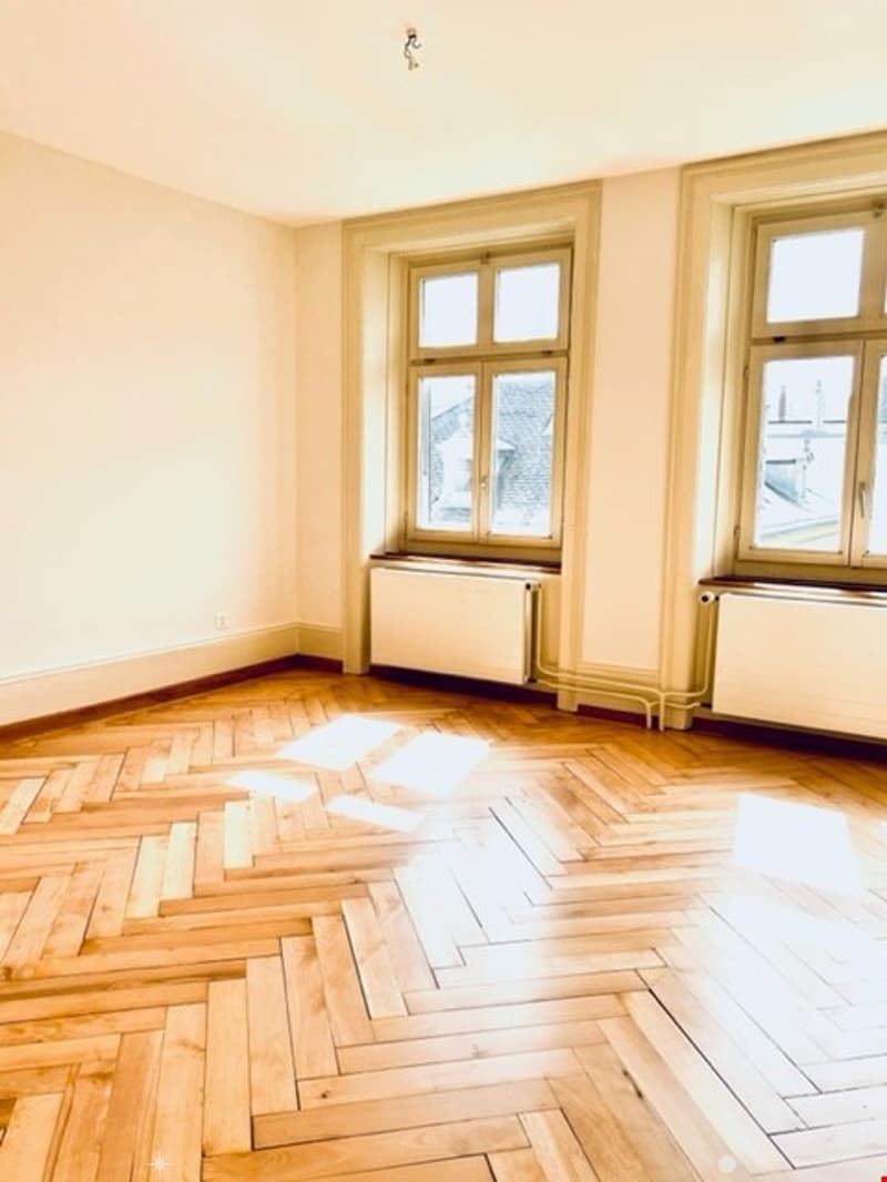 Charmante 3.5-Zimmer-Altbauwohnung an zentraler Lage (4)