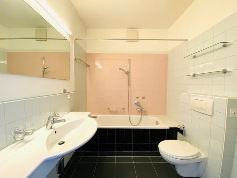2.5-Zimmerwohnung an zentrale Lage (3)