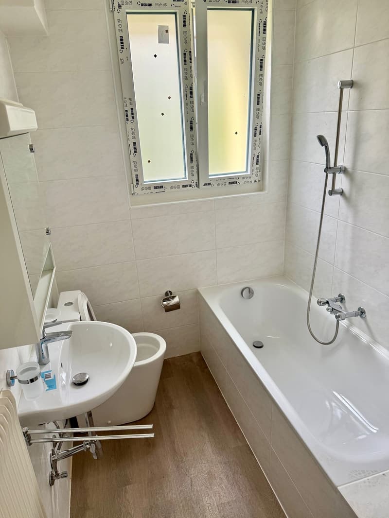 Zentrale und ruhige 2.5-Zimmerwohnung im Erdgeschoss (4)
