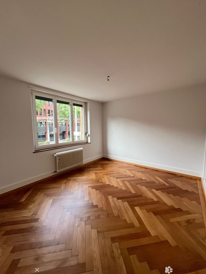 Renovierte 2.5-Zimmerwohnung im Zentrum (2)
