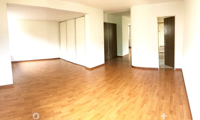 Grosse 3.5-Zimmereigentumswohnung 120 m2 (5)