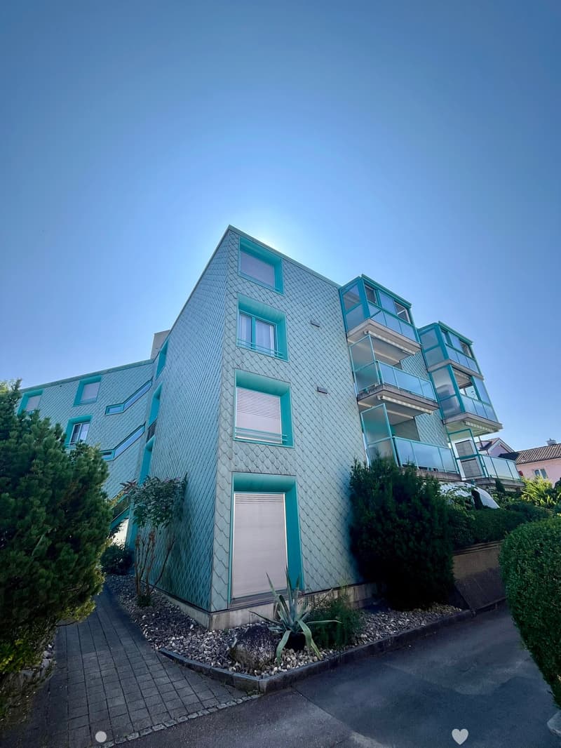 Charmante 4.5-Zimmerwohnung nahe Zihl zum Mieten (3)