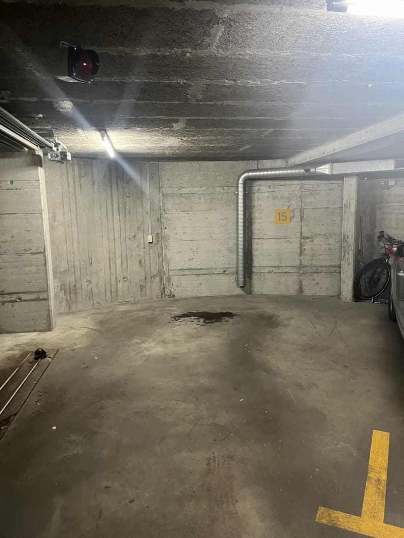 Charmante 4.5-Zimmerwohnung nahe Zihl zum Mieten (15)