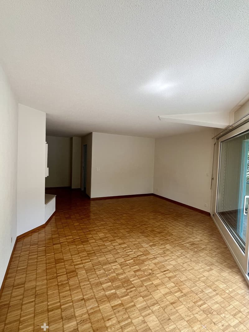 Charmante 4.5-Zimmerwohnung nahe Zihl zum Mieten (5)